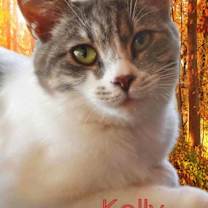Thumbnail photo of Kelly #2