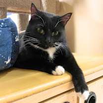 Thumbnail photo of Spunky #1