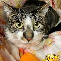 Thumbnail photo of Monty #1