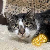 Thumbnail photo of Monty #2