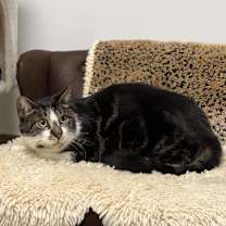Thumbnail photo of Monty #4