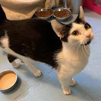 Thumbnail photo of Taco #4