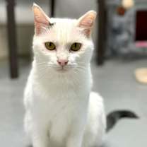 Thumbnail photo of Tootles #2
