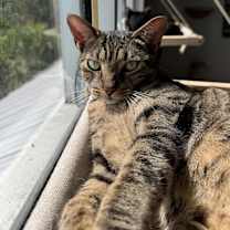 Thumbnail photo of Lucy #2