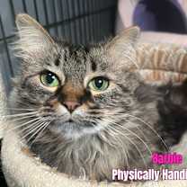 Thumbnail photo of Barbie #2