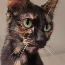 Thumbnail photo of Katie #2