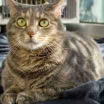 Thumbnail photo of Kaia #2