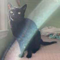 Thumbnail photo of Bebe #2