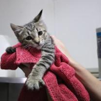 Thumbnail photo of Jason #3