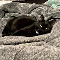 Thumbnail photo of Jammy #2