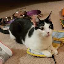 Thumbnail photo of Rosie #2