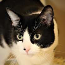 Thumbnail photo of Carson #2