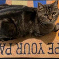 Thumbnail photo of Billie #2