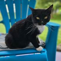Thumbnail photo of Sweet Pea #2
