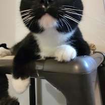 Thumbnail photo of Sweet Pea #3
