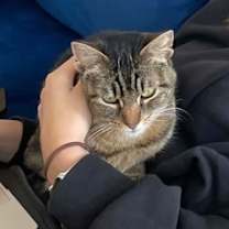 Thumbnail photo of Speckles #3