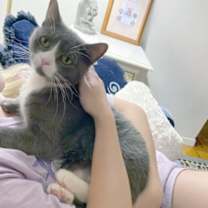 Thumbnail photo of Moni - Available In Foster #3