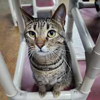 Thumbnail photo of Fiona #1