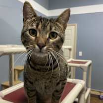 Thumbnail photo of Fiona #2