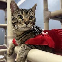 Thumbnail photo of Fiona #4