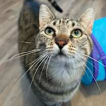 Thumbnail photo of Linny #4