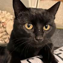 Thumbnail photo of Elsie #3