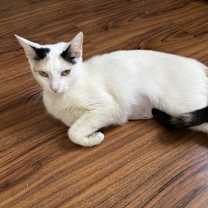 Thumbnail photo of Jelly bean #3