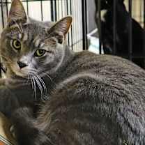 Thumbnail photo of Grayson #2