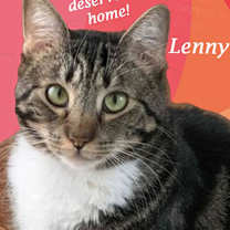 Thumbnail photo of Lucky LENNY! #1
