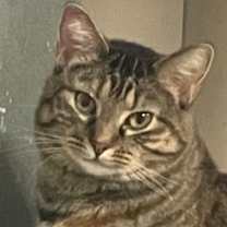 Thumbnail photo of Skye #1