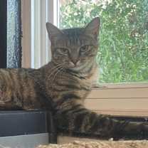Thumbnail photo of Skye #4