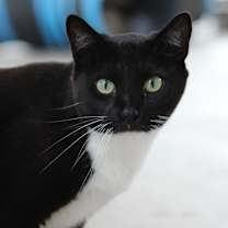 Thumbnail photo of Susan #2