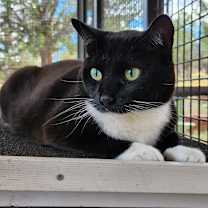 Thumbnail photo of Susan #3