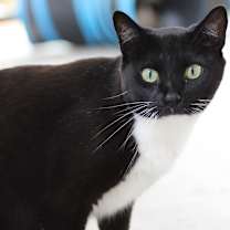 Thumbnail photo of Susan #4