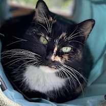 Thumbnail photo of Kit #2