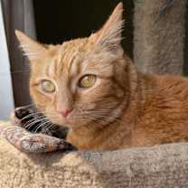 Thumbnail photo of Lulu #1