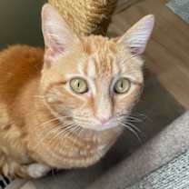 Thumbnail photo of Lulu #2