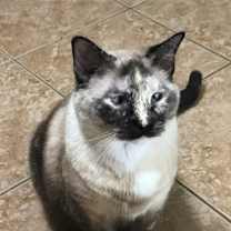 Thumbnail photo of Skittles #1