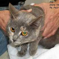 Thumbnail photo of Ella #1