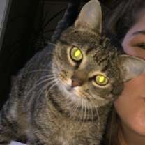 Thumbnail photo of Paisley #3