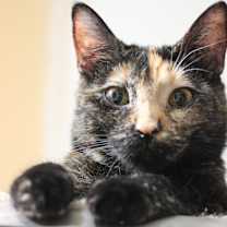 Thumbnail photo of Katie #3