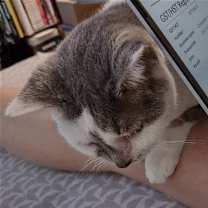 Thumbnail photo of Jack - Sponsored by Stephan S. #4