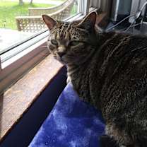 Thumbnail photo of Suki #2