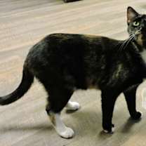 Thumbnail photo of Sasha #4