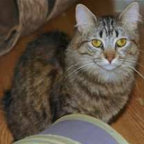 Thumbnail photo of Athena #1