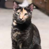 Thumbnail photo of Katie #2
