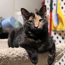 Thumbnail photo of Katie #1