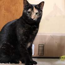 Thumbnail photo of Katie #4