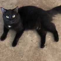 Thumbnail photo of Rafael #2