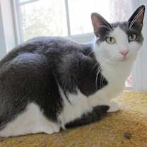 Thumbnail photo of Clyde (Sponsored) #1